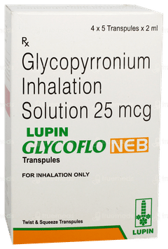 Glycoflo Neb 2Ml Pack Of 5 Transpules Glycoflo Neb 2Ml Pack Of 5 Transpules